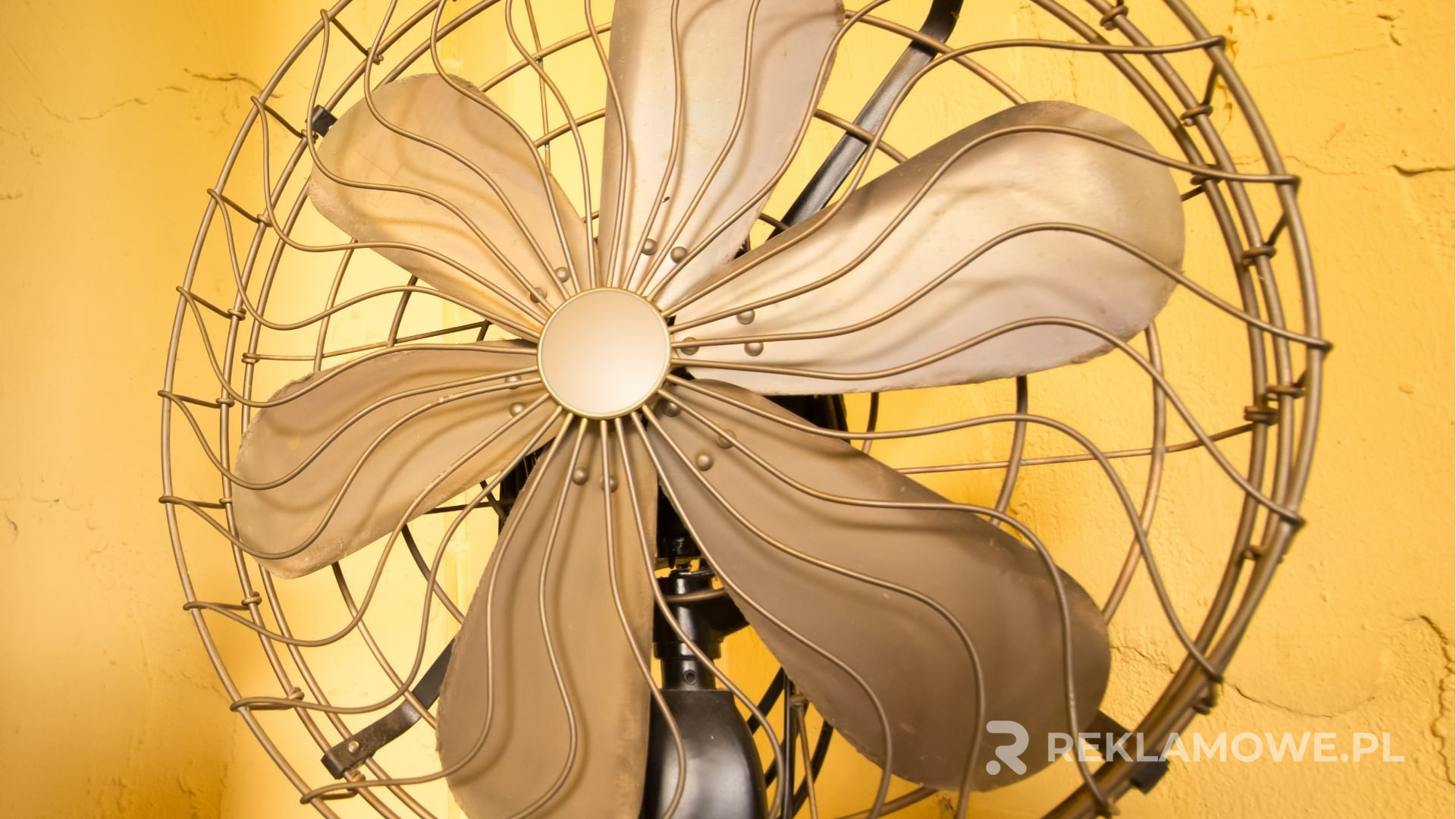 Analiza finansowa wentylatorów reklamowych